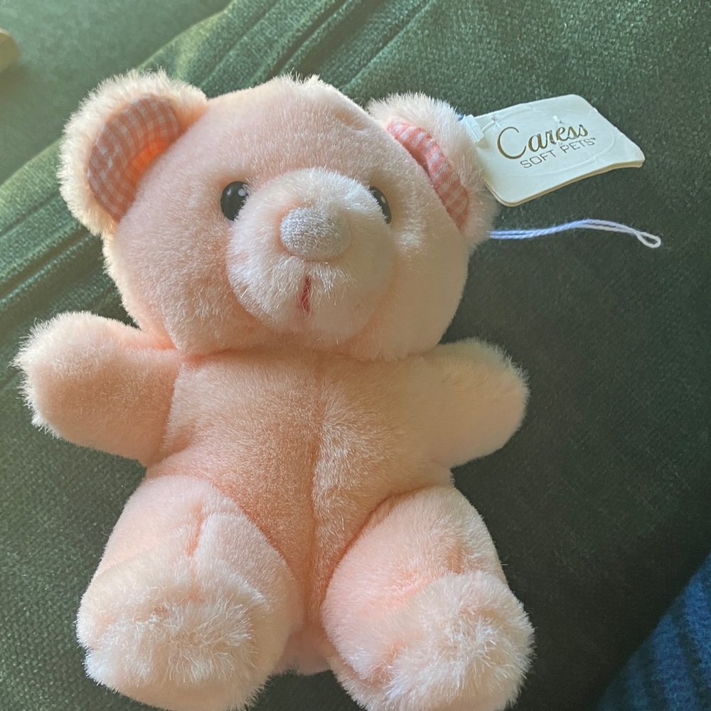 Pink Stuffed Bear